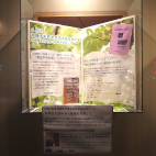 アビスタガラス展示ケース3枚目