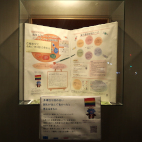 アビスタガラス展示ケース4枚目