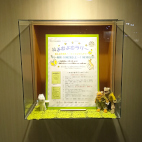 アビスタガラス展示ケース6枚目