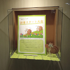アビスタガラス展示ケース6枚目