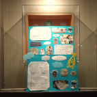 アビスタガラス展示ケース5枚目
